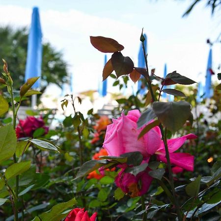 Hotel Majestic Lido di Jesolo Eksteriør billede