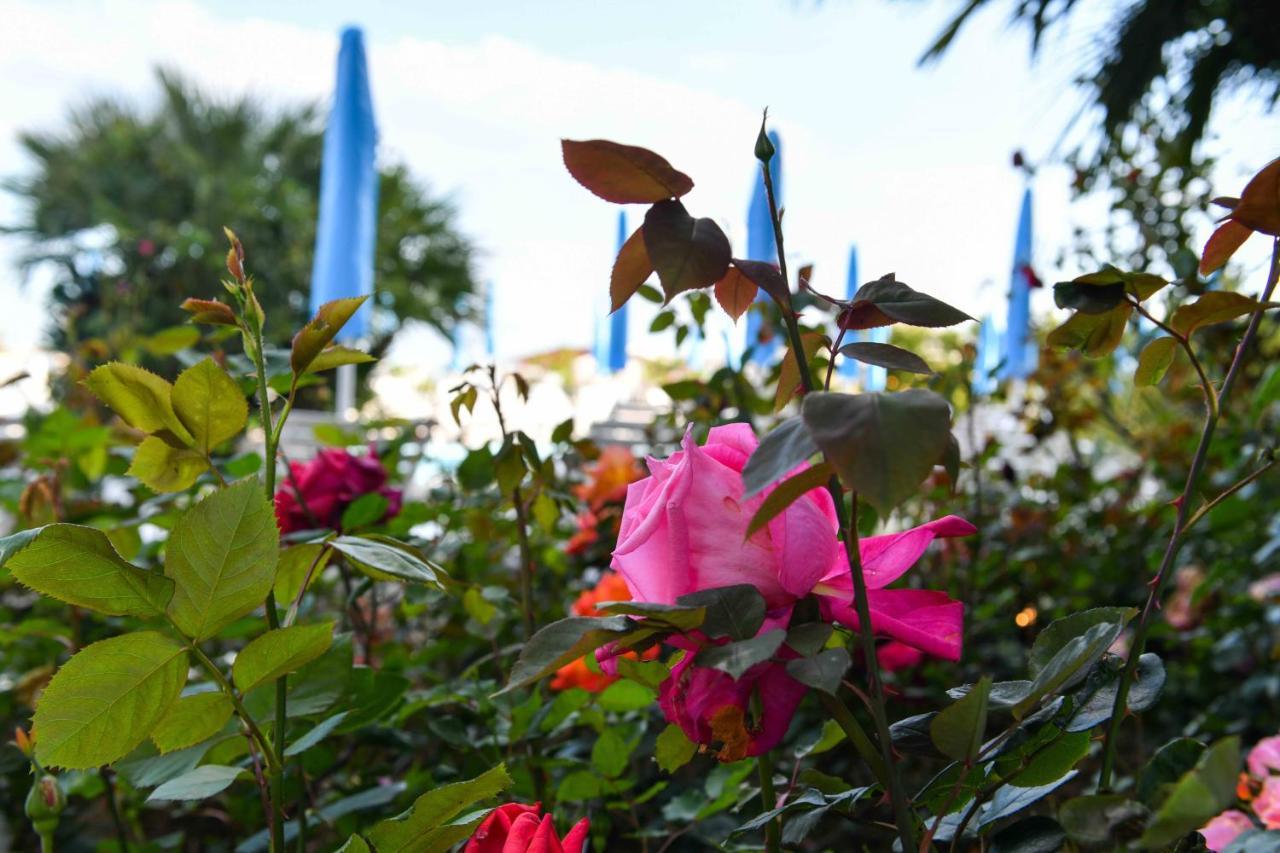Hotel Majestic Lido di Jesolo Eksteriør billede